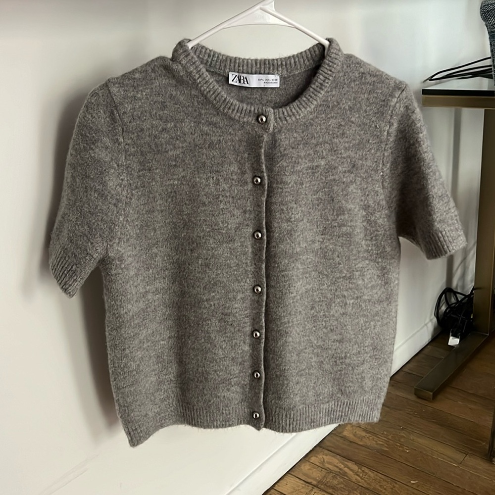 Zara silver button sweater